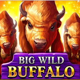 Big Wild Buffalo