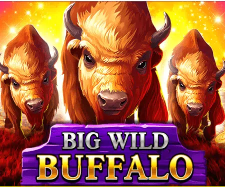 Big Wild Buffalo