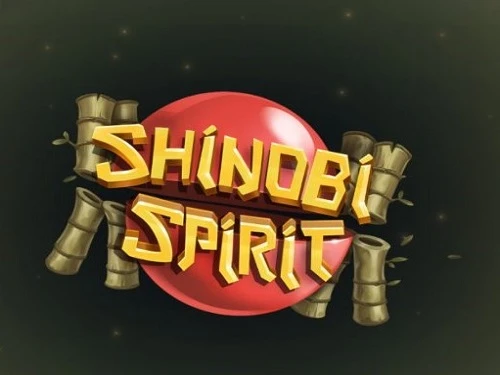 Shinobi Spirit