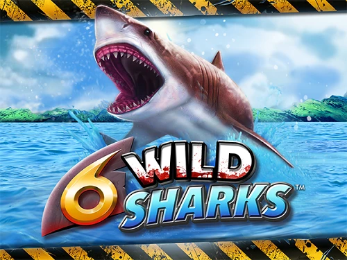 6 Wild Sharks