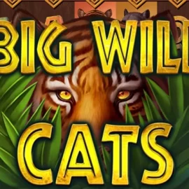 Big Wild Cats