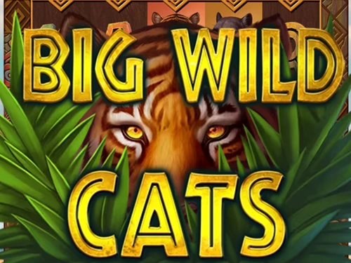 Big Wild Cats