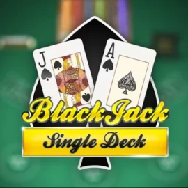Blackjack Single Deck Multi Hand