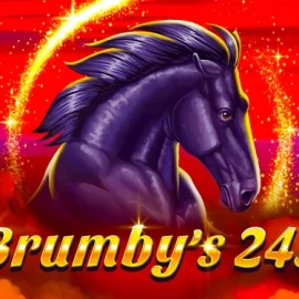 Brumby’s 243