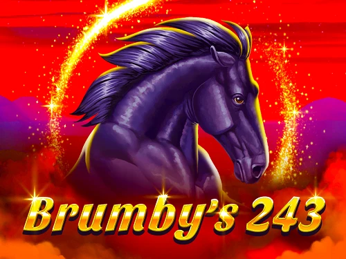 Brumby’s 243