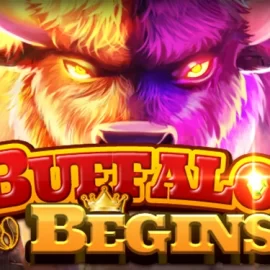 Buffalo Begins
