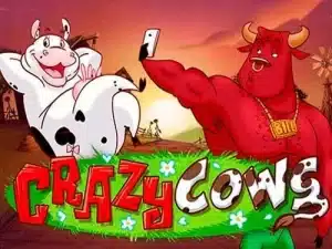 Crazy Cows