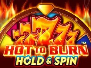 Hot to Burn® Hold and Spin