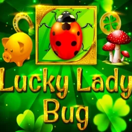 Lucky Lady Bug