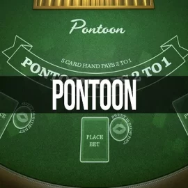 Pontoon 21™