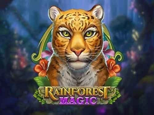 Rainforest Magic