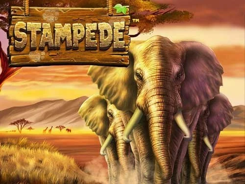 Stampede™