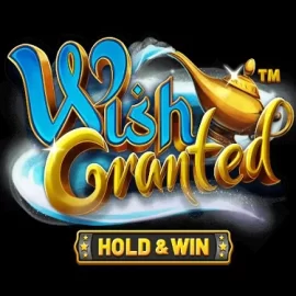 Wish Granted™