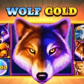 Wolf Gold®