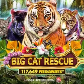 Big Cat Rescue MegaWays™