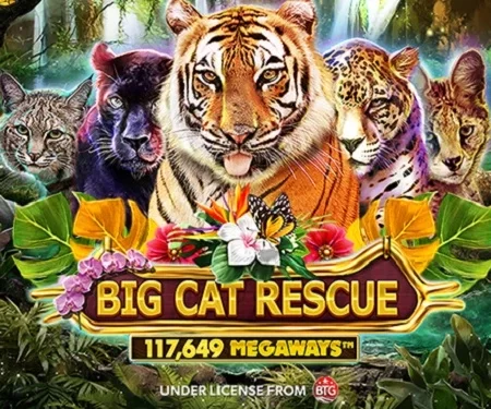 Big Cat Rescue MegaWays™