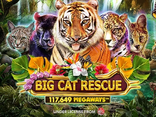 Big Cat Rescue MegaWays™