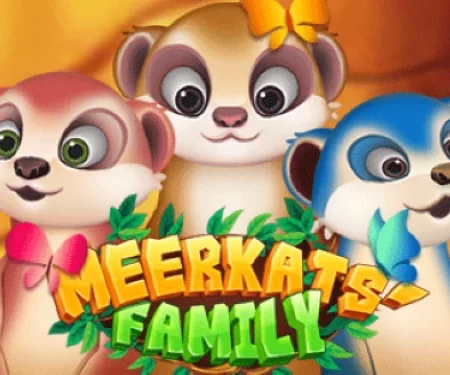 Meerkats’ Family