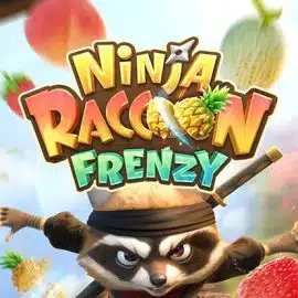 Ninja Raccoon Frenzy