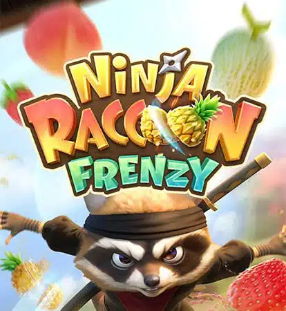 Ninja Raccoon Frenzy