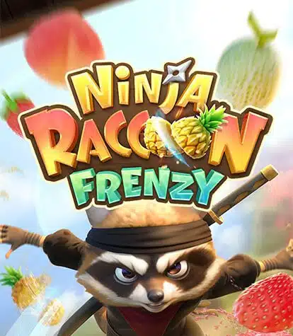 Ninja Raccoon Frenzy