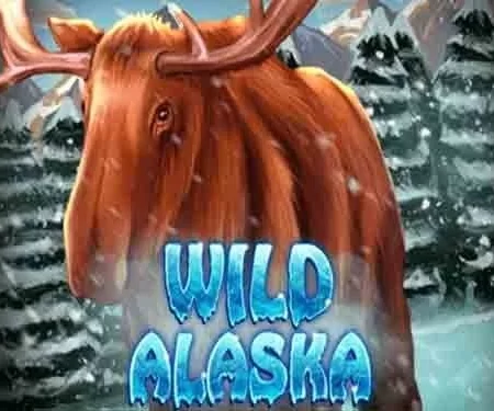 Wild Alaska